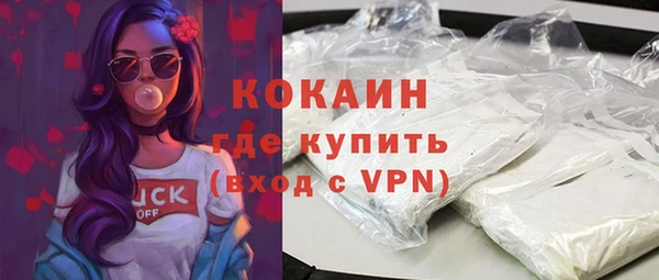 мдпв Михайлов