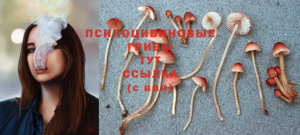 сатива Верхнеуральск
