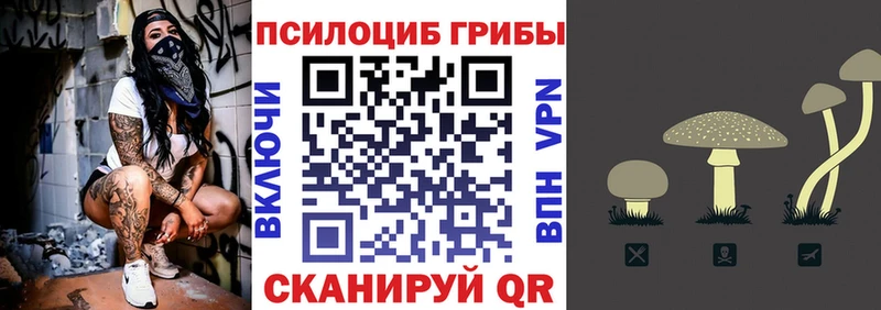 Псилоцибиновые грибы мухоморы  Вилючинск 