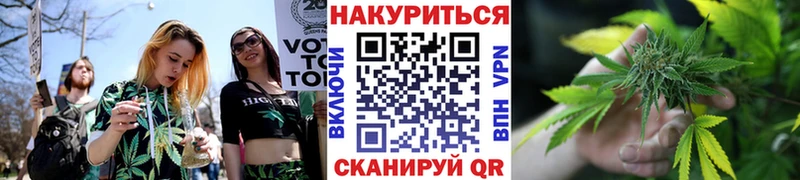 Бошки марихуана сатива Вилючинск